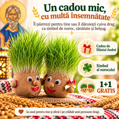 🌾 Cap cu Semințe de Grâu – Plantează Norocul de Sfântul Andrei (1+1 GRATIS)